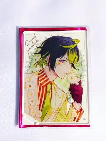 큐피파라 류키 아크릴 스탠드 봄바람