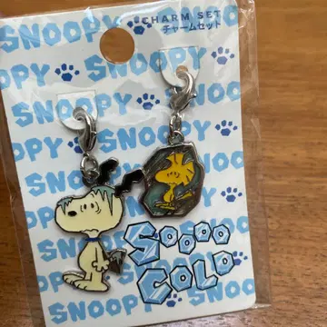 usj 스누피 참 세트 2014