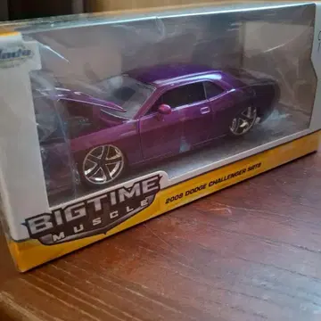 BIGTIME MUSCLE 2008 DODGE