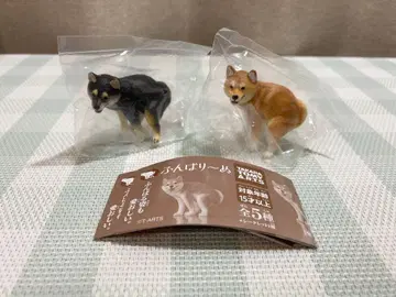 새상품 푼바리~누 푼바리~누 시바견 블랙 시바