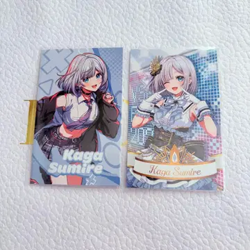 하나가메 스미레 폴라로이드