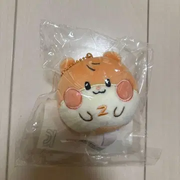 ZB1 한빈 binini 페이스 키링