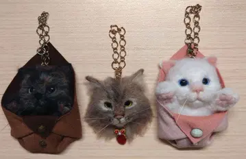 양모 펠트 고양이 3종 세트