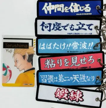 하이큐 현수막 자수 키링 테루시마 클리어 카드 세트