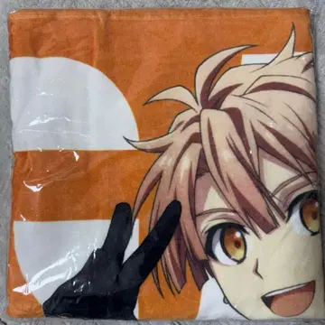 이즈미 미츠키 g4y 빅 타월