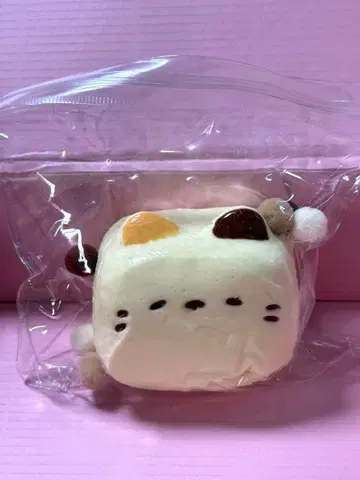 스퀴즈  고양이