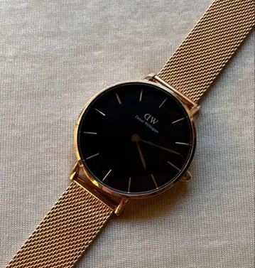 다니엘 웰링턴 여성용 쿼츠 로즈 골드