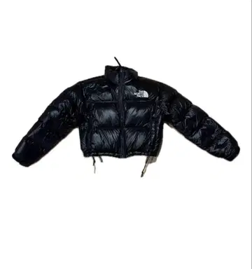 THE NORTH FACE 숏 다운 자켓
