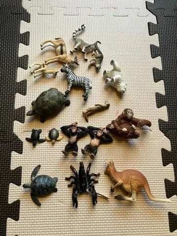 슐라이히 Schleich 동물 피규어 세트 모음