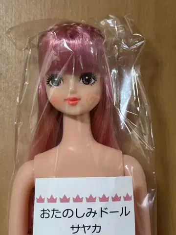 리카짱 캐슬 즐거운 인형 제니 프렌드 사야카