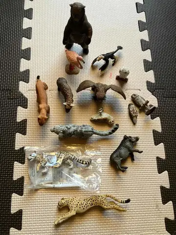 슐라이히 Schleich safari 사파리 컬렉터 동물