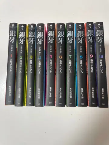 은하 별똥별 은하 전 10권 세트