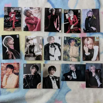 luz 군 브로마이드 15장 세트