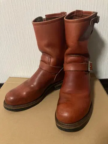 레드윙 8271 PT99 US 8.5