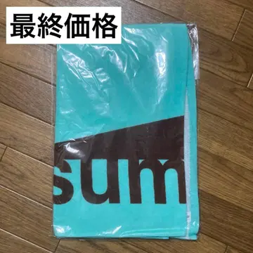 [ 최종 가격 ] sumika 로고 타월 초코 민트