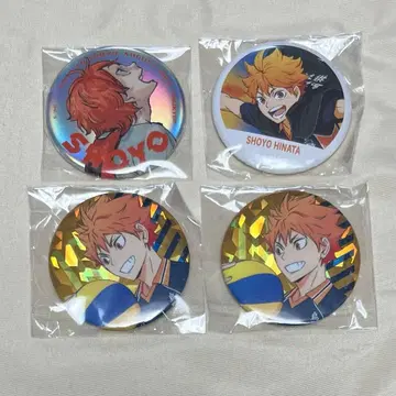 하이큐 도쿄 원정 2013 여름 메탈릭 캔뱃지 히나타 쇼요