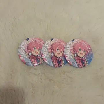 사토미 군 캔뱃지