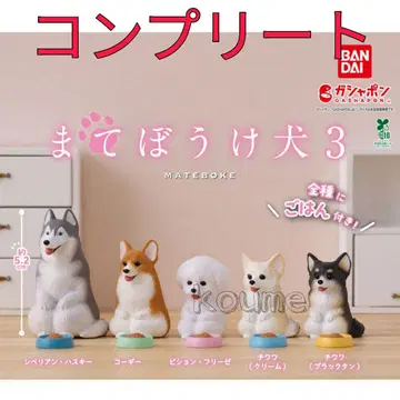 반다이 마테보케견 3 컴플리트 세트