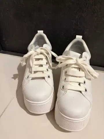 스즈키 아미 씨 프로듀스 통굽 스니커즈