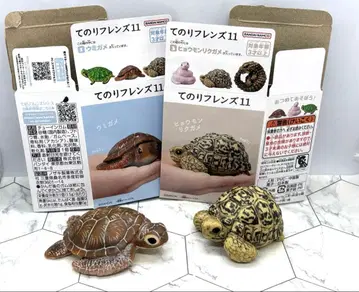 테노리 프렌즈 11 바다거북 레오파드 육지거북 가챠