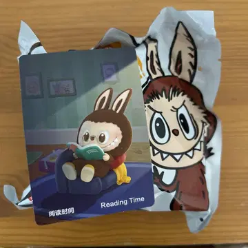 러브부 피규어 리딩 타임