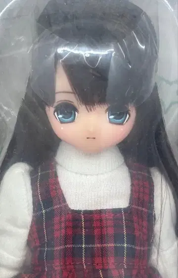 엑스 큐트 패밀리: 세라/Happy holidays!