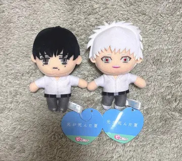 빛이 죽은 여름 피코누이