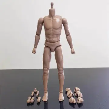 1/6 스케일 남성용 피규어용 소체 근육 가동 액션