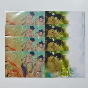 고서점 거리의 하시히메 Cool-B 특전 엽서 타마모리 하나자와 8장