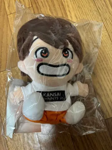 후쿠모토 타이세이 치비누이