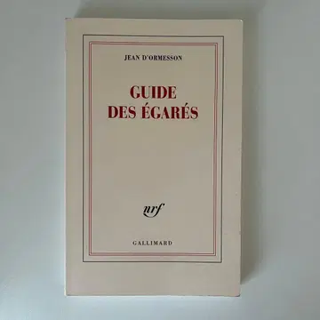 길 잃은 사람들을 위한 안내서 장 도르메송