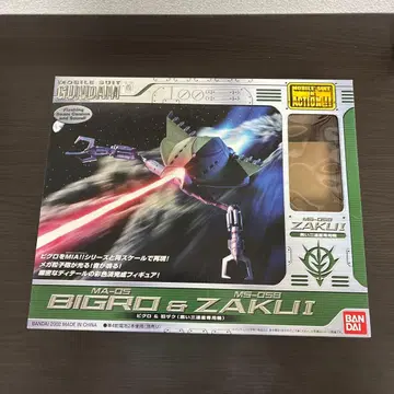 MS IN ACTION MA-05 비그로