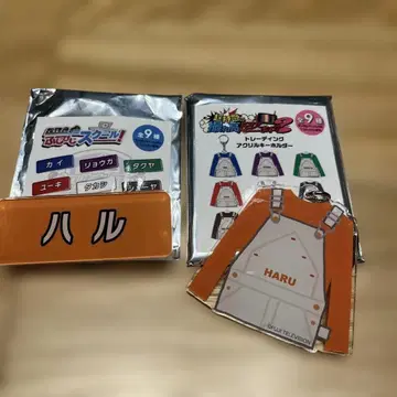 하루 후지비지 명찰 키링 세트