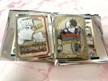 토도로키 쇼토 세트