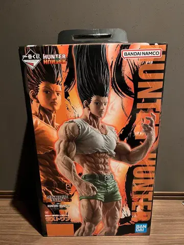 HUNTER HUNTER 피규어 라스트 원