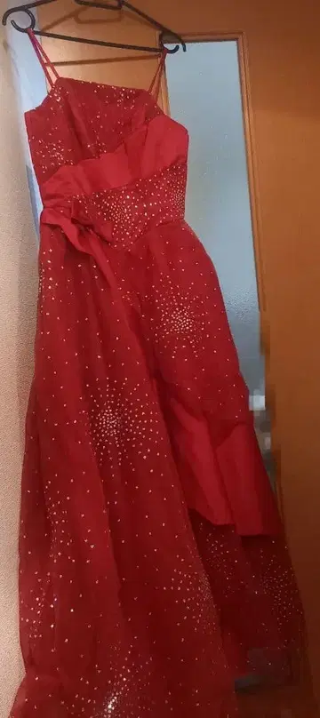 드레스 연주회 레드