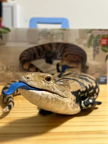 제일복권 파충류 & 양서류 라스트원상 아오지타 도마뱀 벱