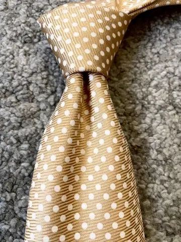 Ermenegildo Zegna 도트 무늬 샴페인 골드 실크 100%