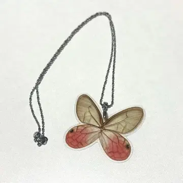 나비 날개 목걸이 베니스가시자노메