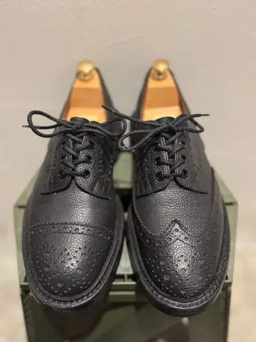 트리커스 네펜데스 별주 비대칭 깁슨 스코치 그레인