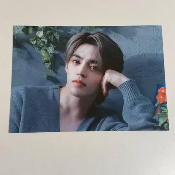 세븐틴 seventeen 소비기한 타워 레코드 플라이어 에스쿱스 1