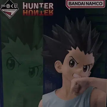 HUNTER x HUNTER 곤 피규어