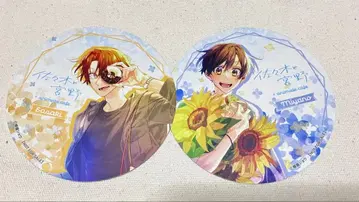 사사키와 미야노 코스터