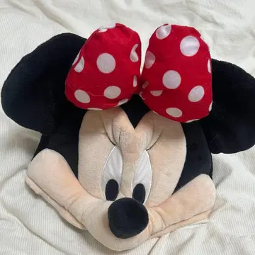 디즈니 팬캡 미니