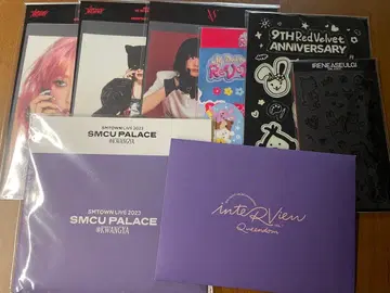 레드벨벳 슬기 트레이딩 카드 없음