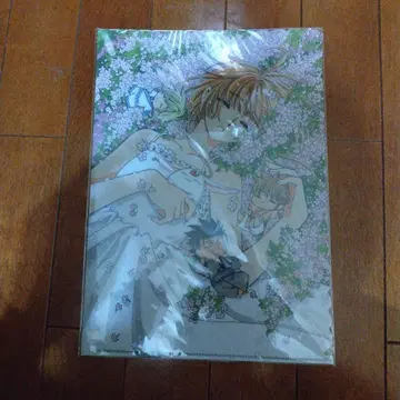 CLAMP 작품 클리어 파일 세트 츠바사