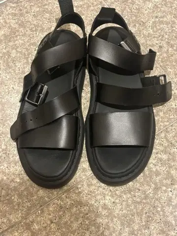 닥터 마틴 그리폰