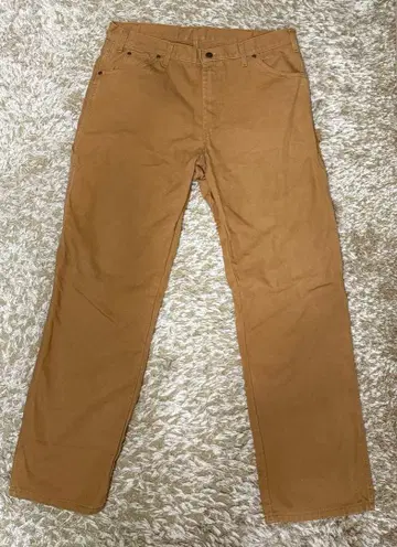 Dickies 워크 팬츠 (페인터 팬츠)