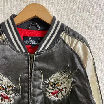 호시히로 스카잔 그레이