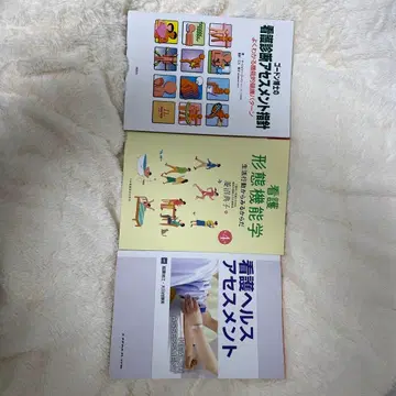 간호 건강 사정, 간호 진단 사정 지침, 간호 형태 기능학